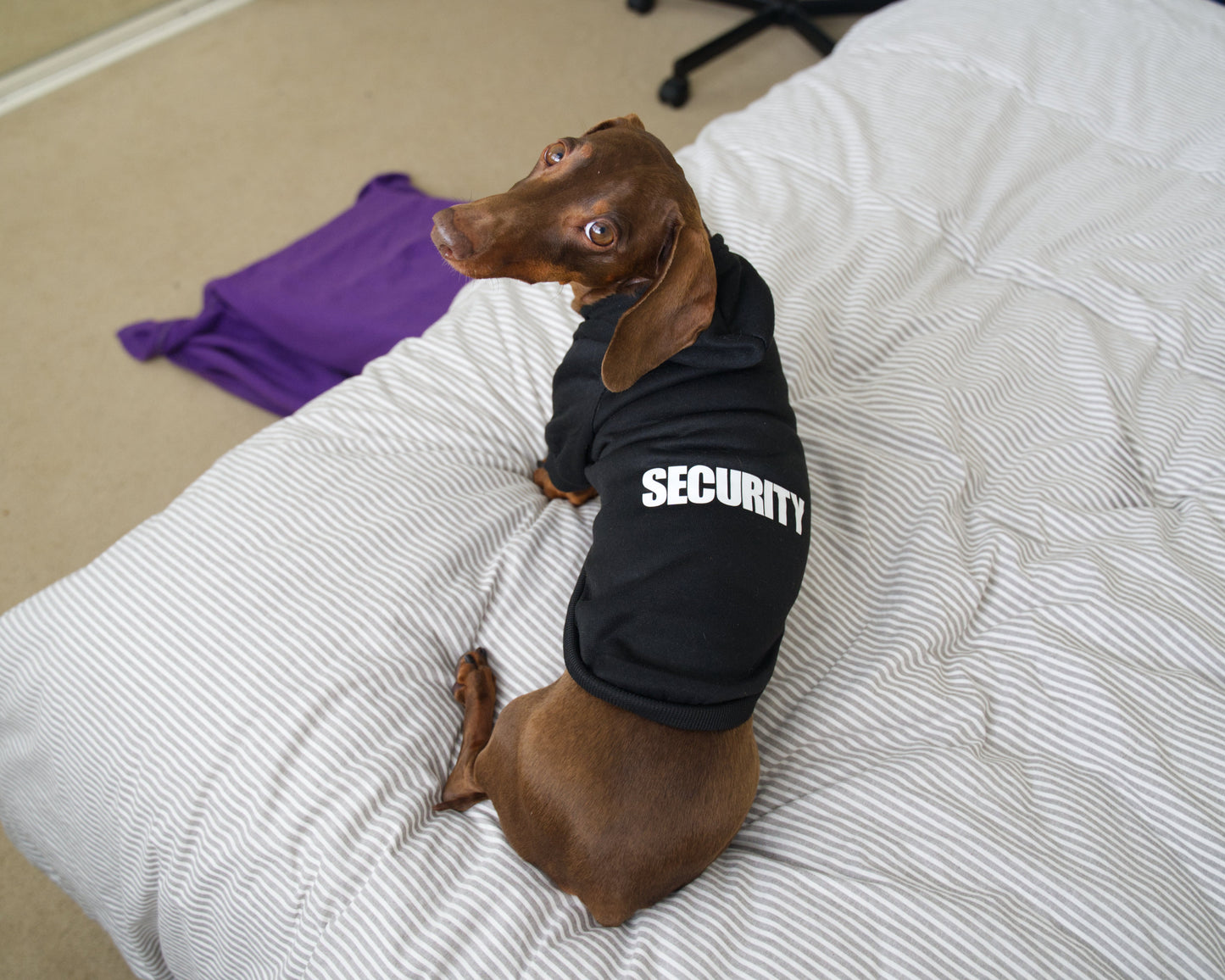 Security Dog Sweater Hoodie