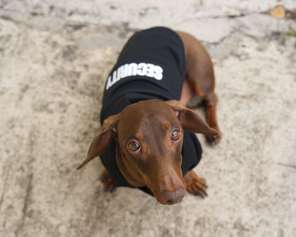 Security Dog Sweater Hoodie