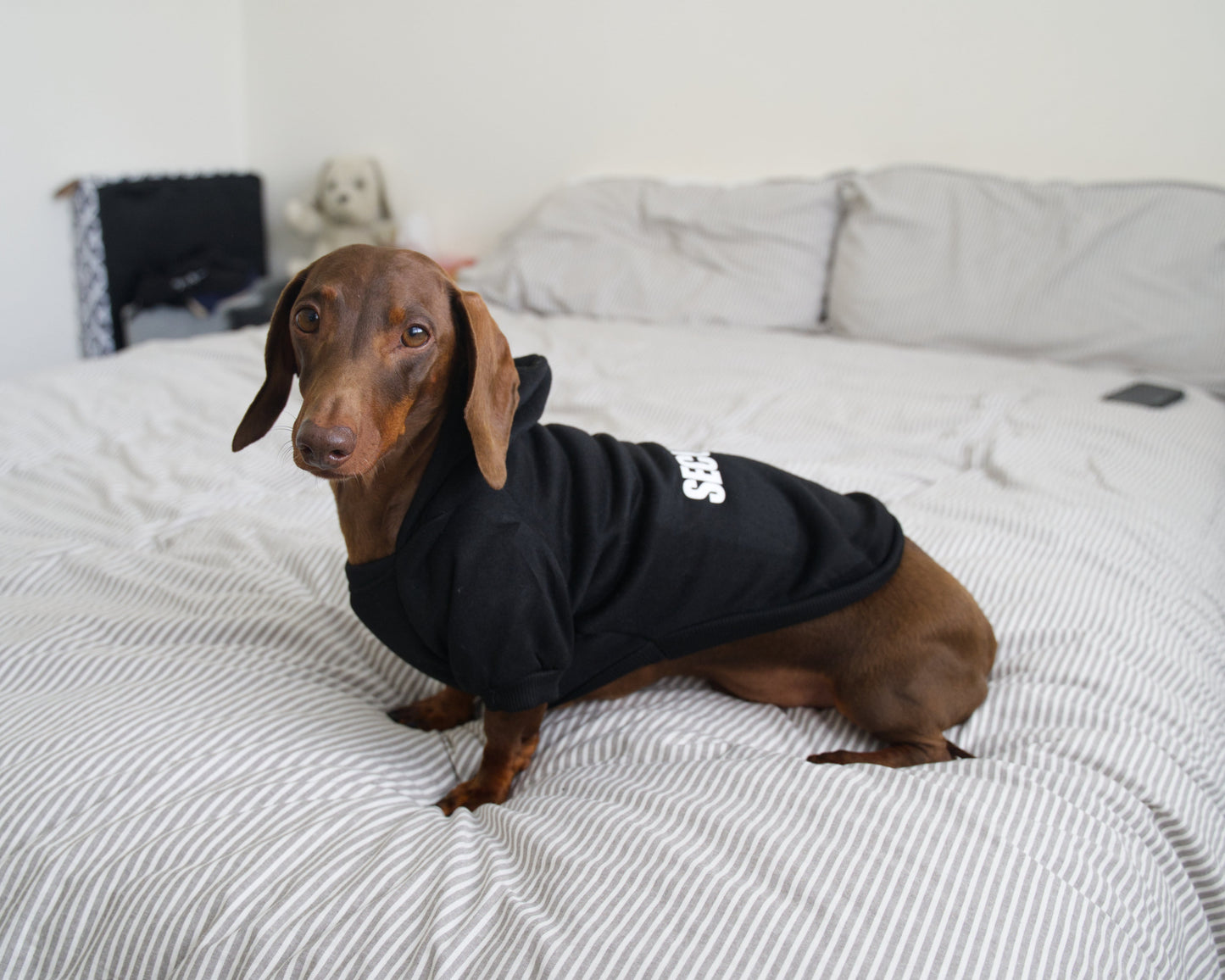 Security Dog Sweater Hoodie