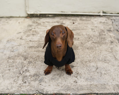 Security Dog Sweater Hoodie