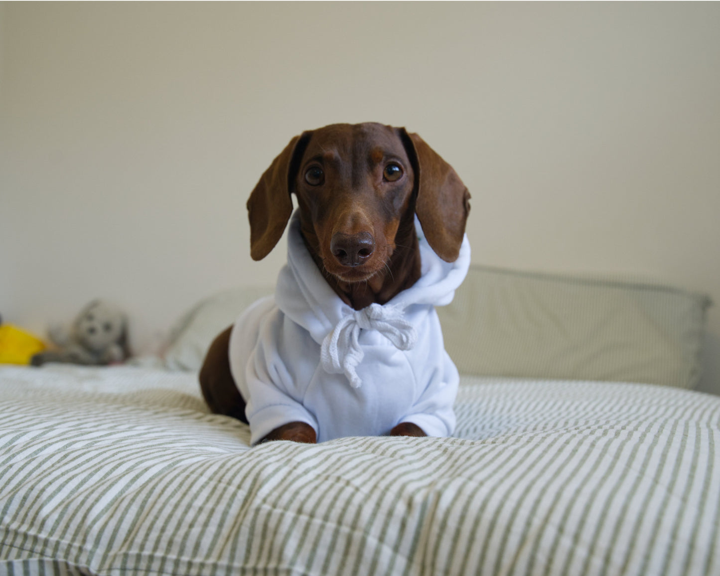 Turnip Dog Sweater Hoodie