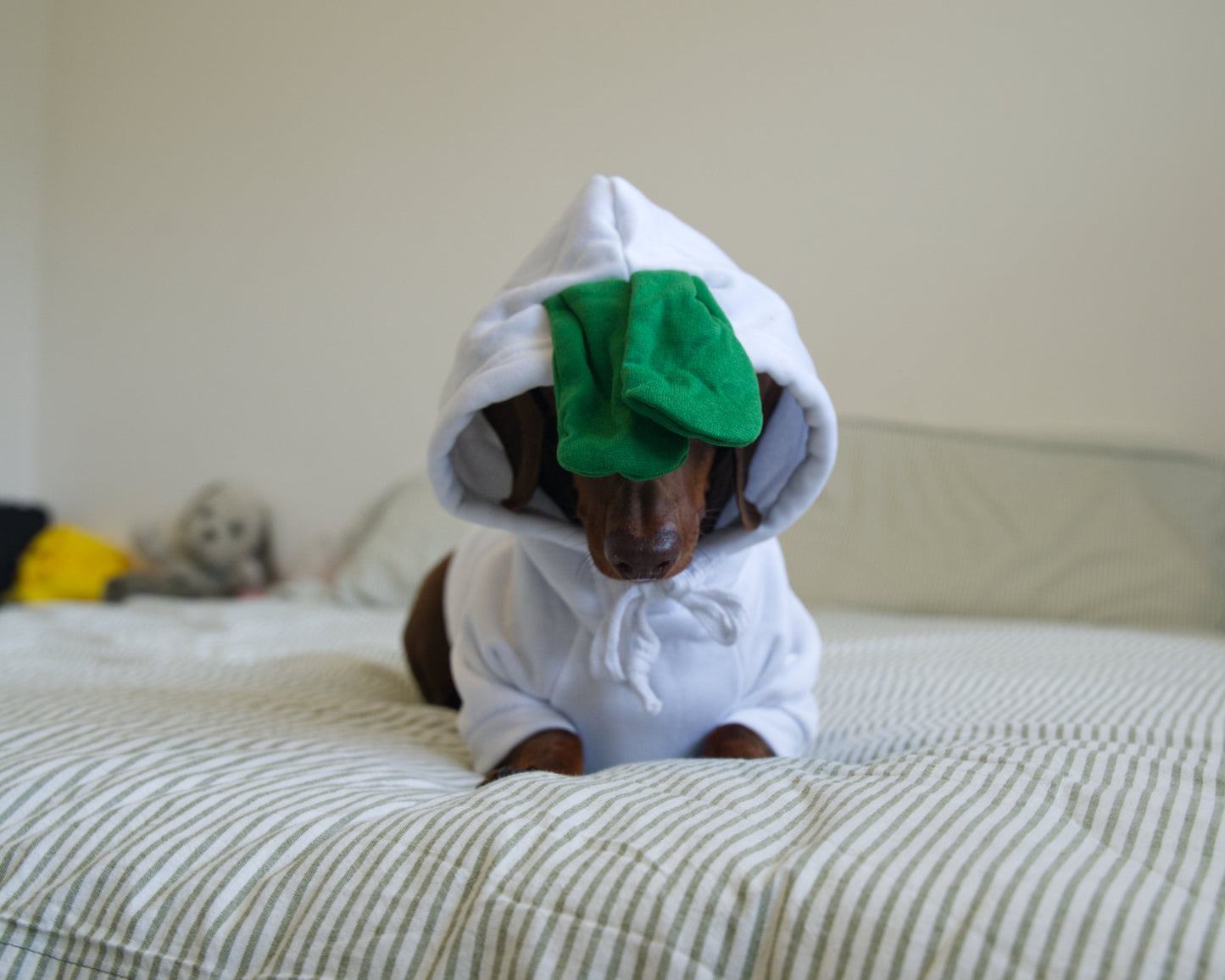 Turnip Dog Sweater Hoodie