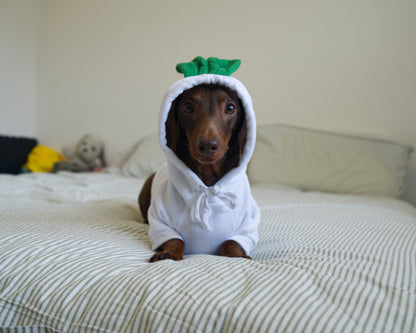 Turnip Dog Sweater Hoodie
