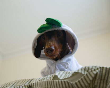 Turnip Dog Sweater Hoodie