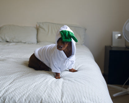 Turnip Dog Sweater Hoodie
