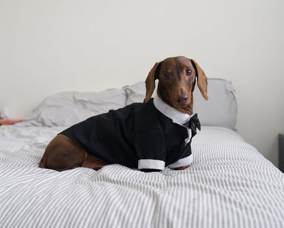 Dog Tuxedo Costume
